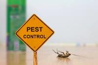 Pest Control Frankston image 5